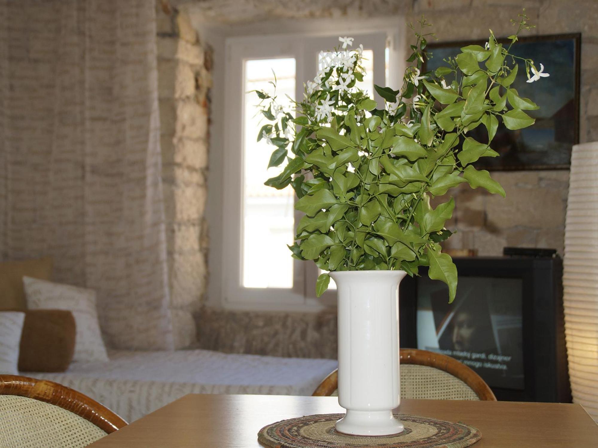 Apartments Stelina Korčula Pokój zdjęcie